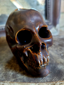 Skull Rooted