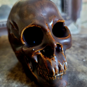 Skull Rooted
