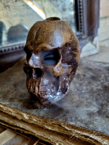 Skull Whood