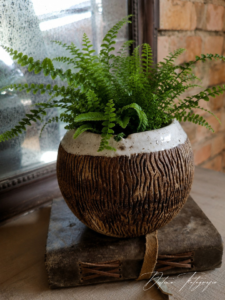 Coconut Bowl