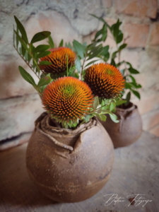 Set bloembol vaasjes